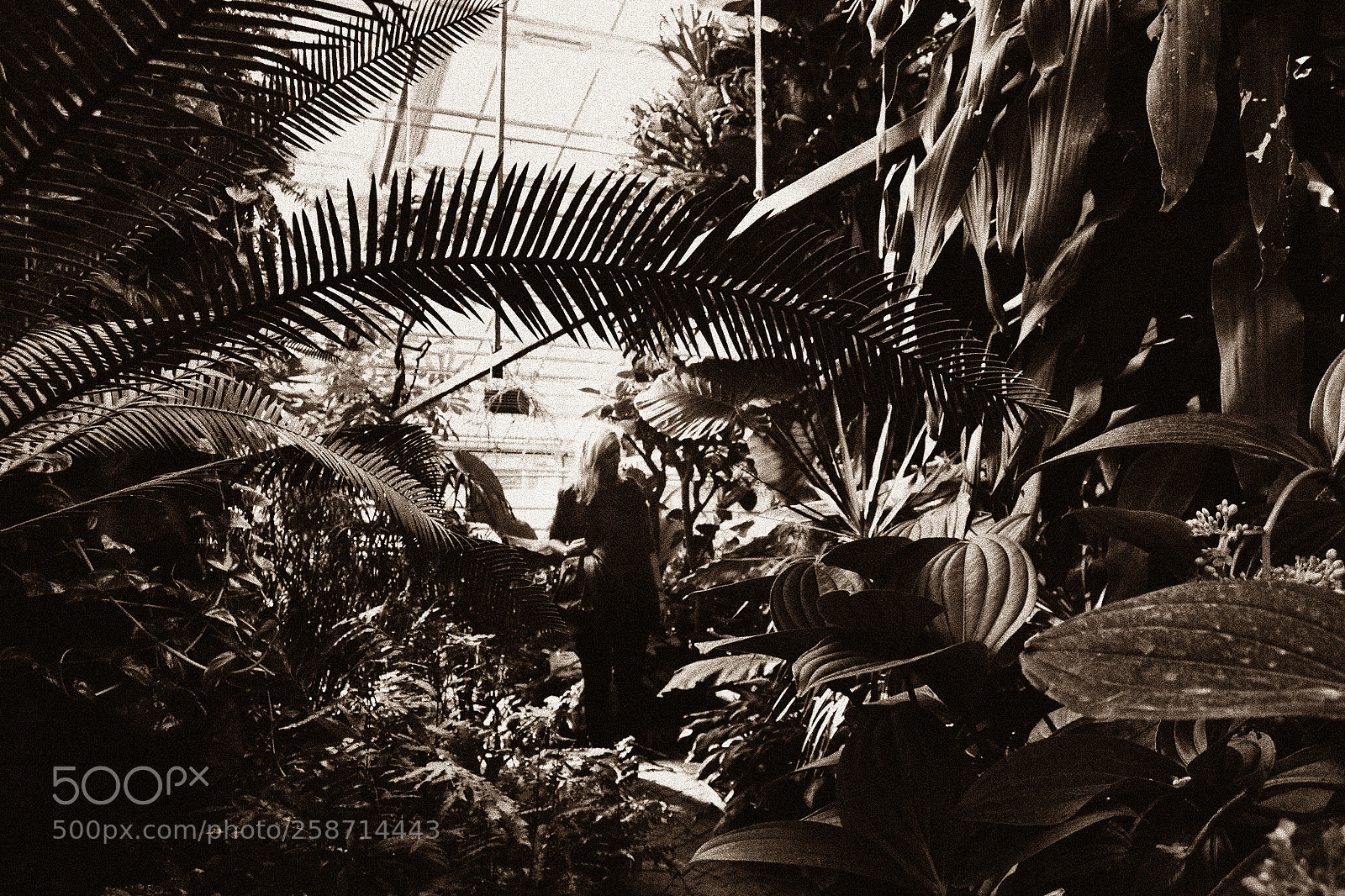 Nikon D3100 sample photo. Where the wild things photography