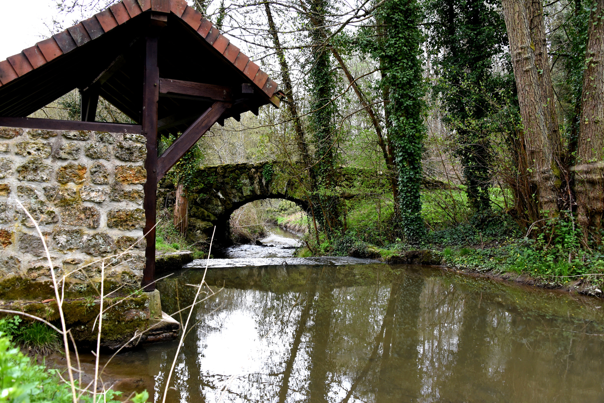 Nikon D750 sample photo. Dsc photography