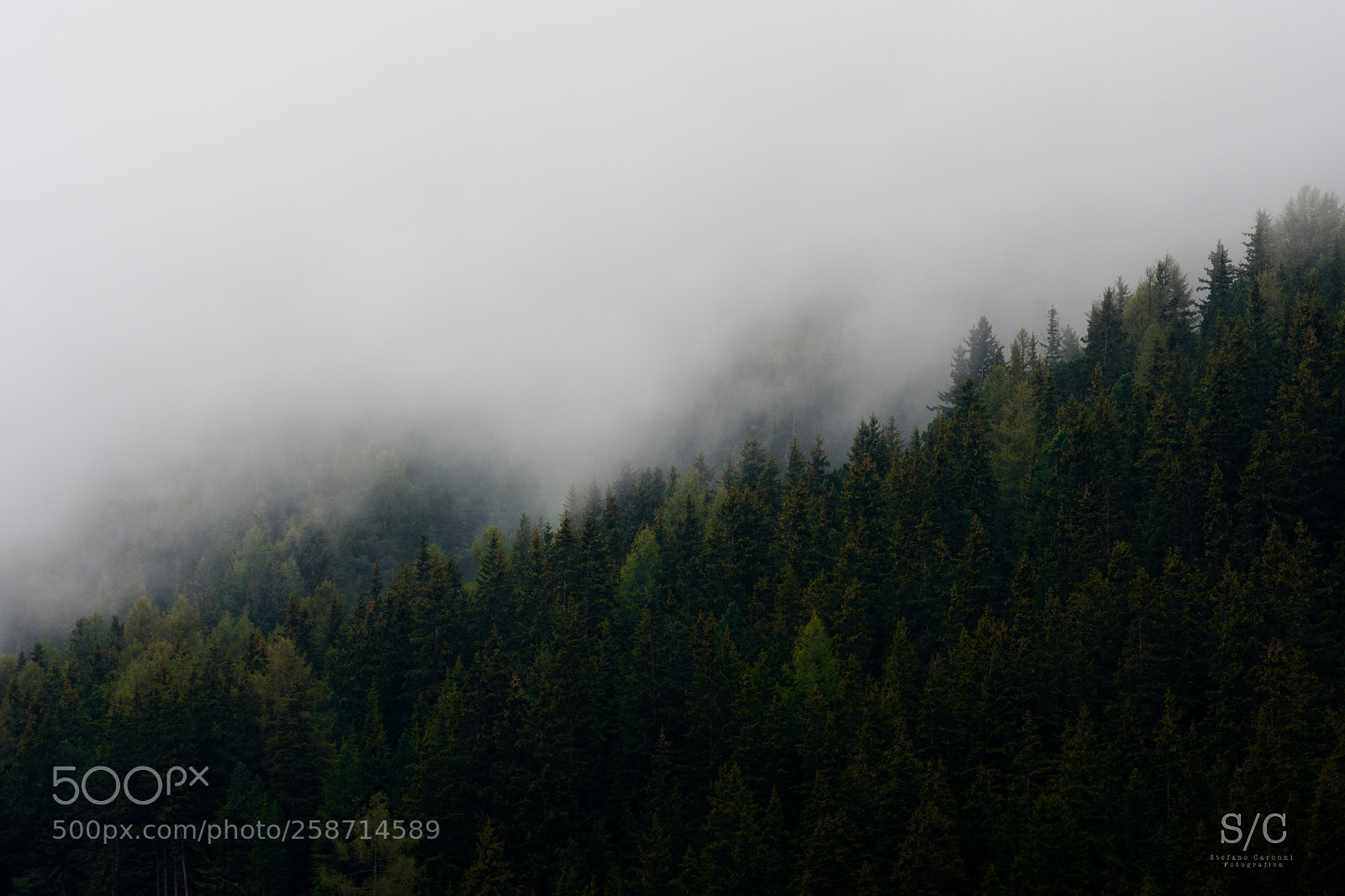 Nikon D7200 sample photo. Rainy day #3 photography