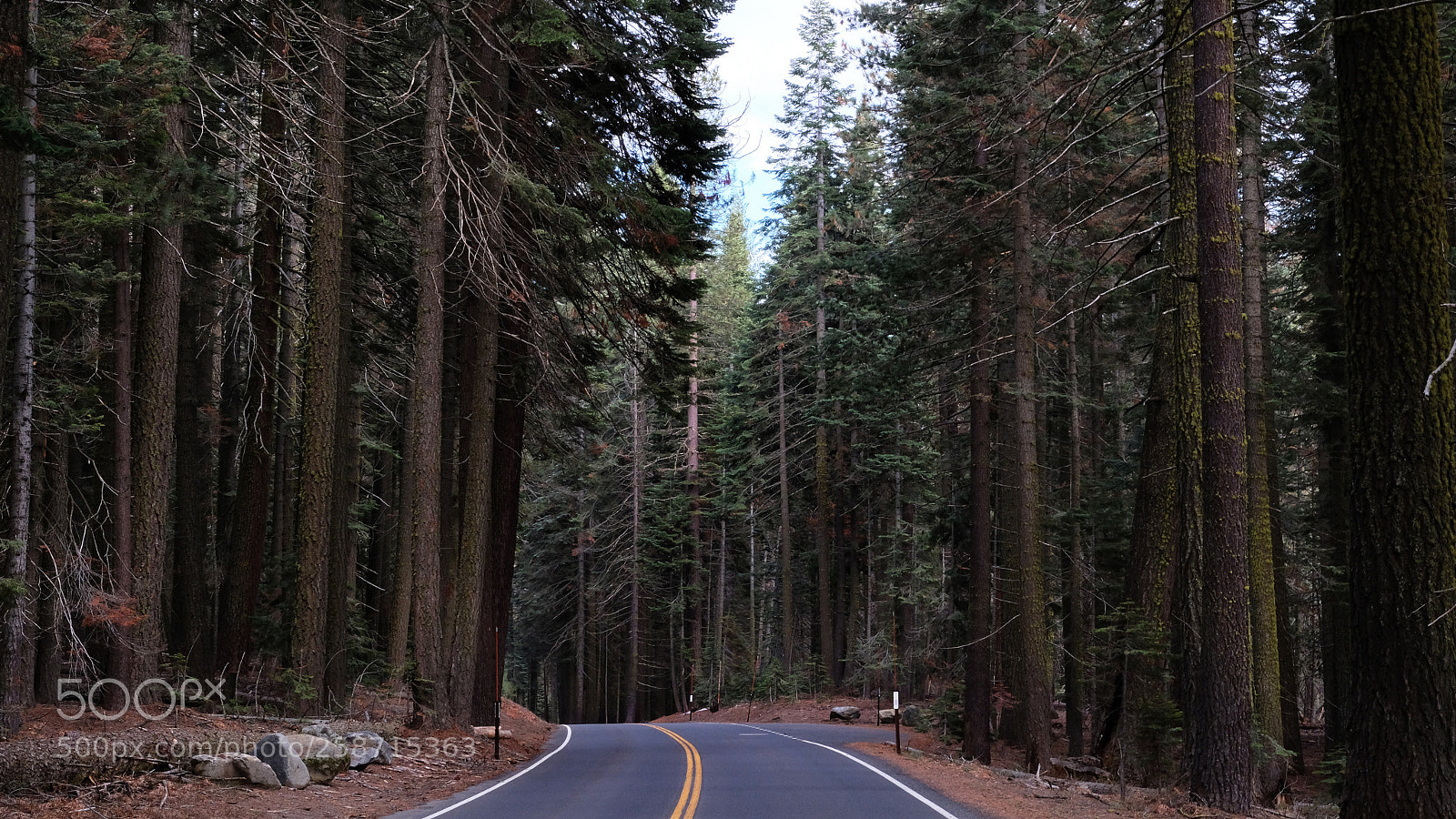 Fujifilm X-T2 sample photo. Yosemite  photography