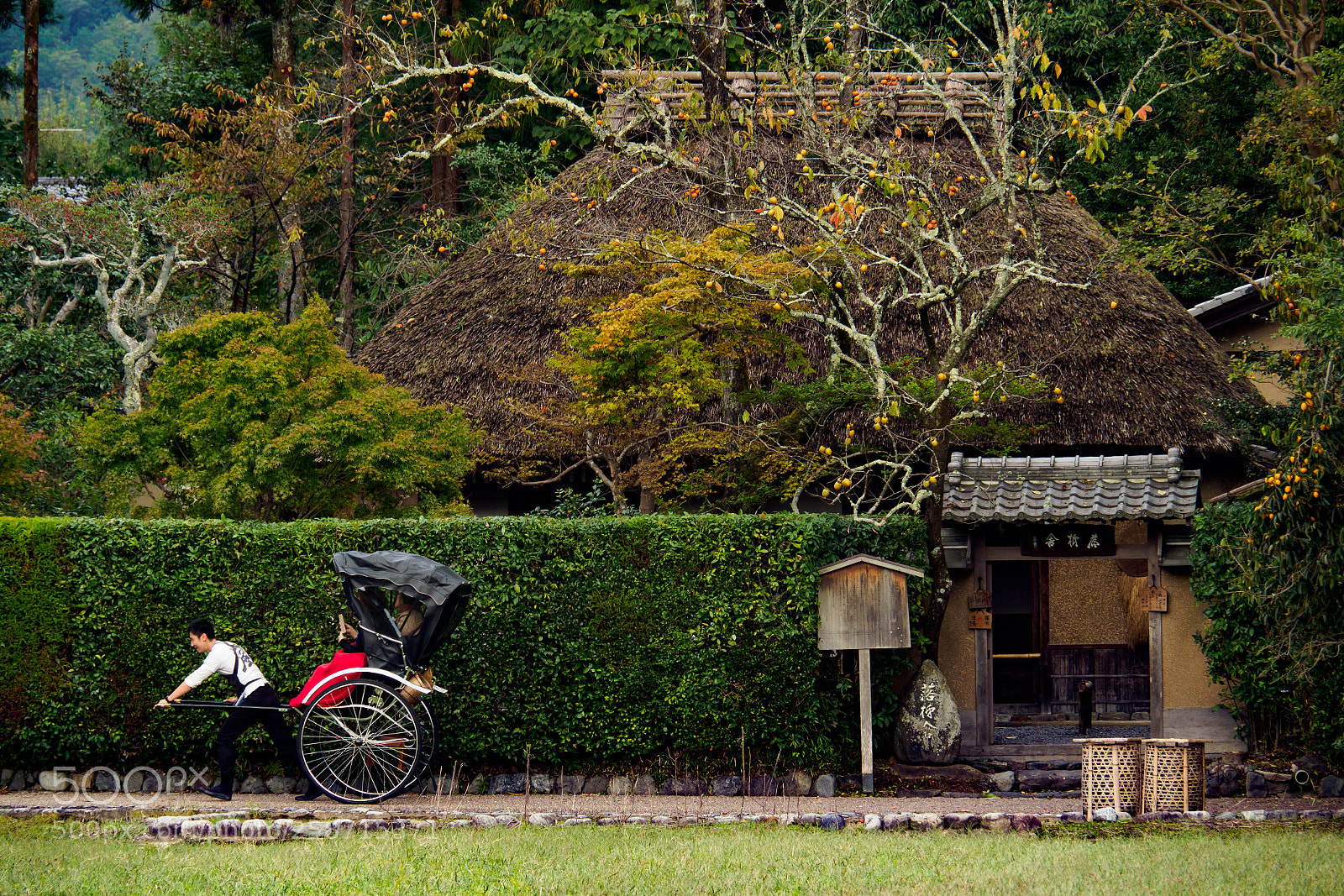 Olympus OM-D E-M1 Mark II sample photo. Arashiyama (japón) photography