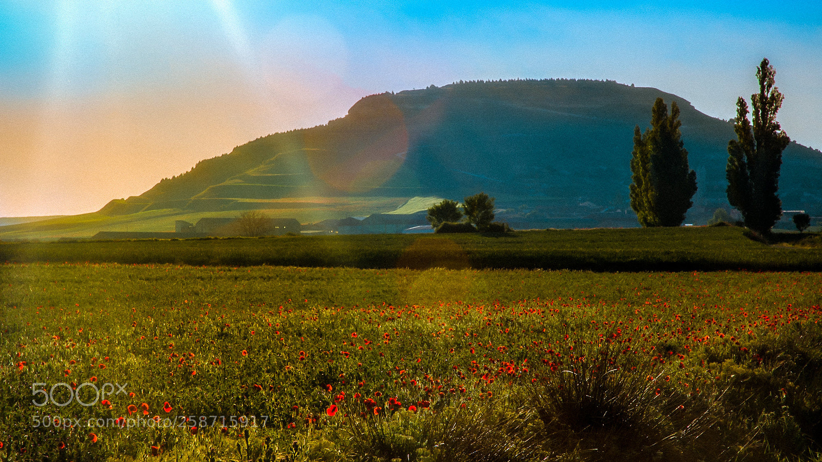 Nikon D70s sample photo. Camino de santiago - 18/40 photography