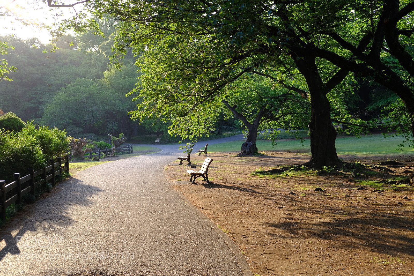 Fujifilm X-T20 sample photo. 随拍 photography