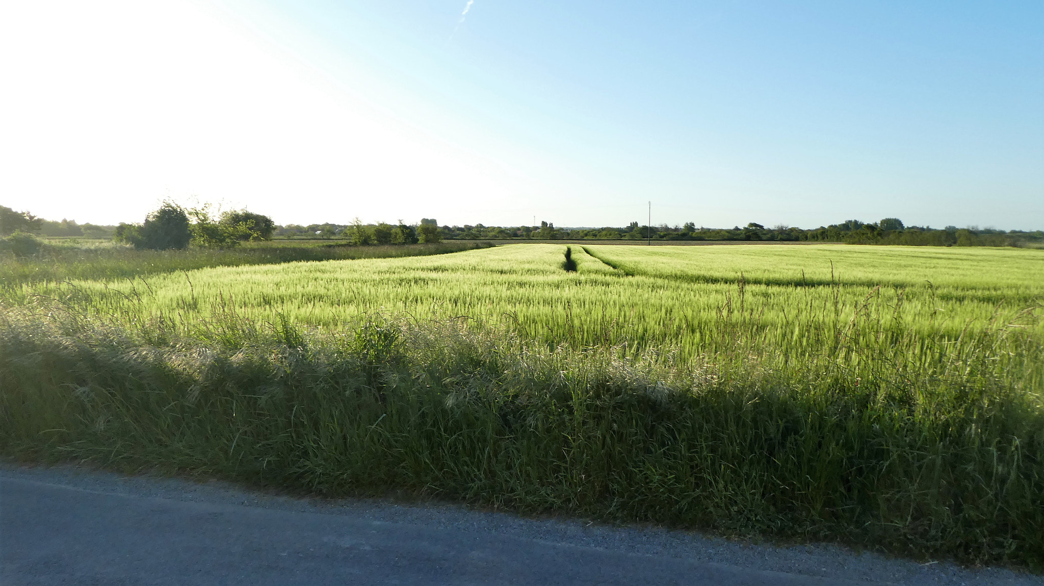 Panasonic Lumix DMC-ZS60 (Lumix DMC-TZ80) sample photo. Fields in normandy photography