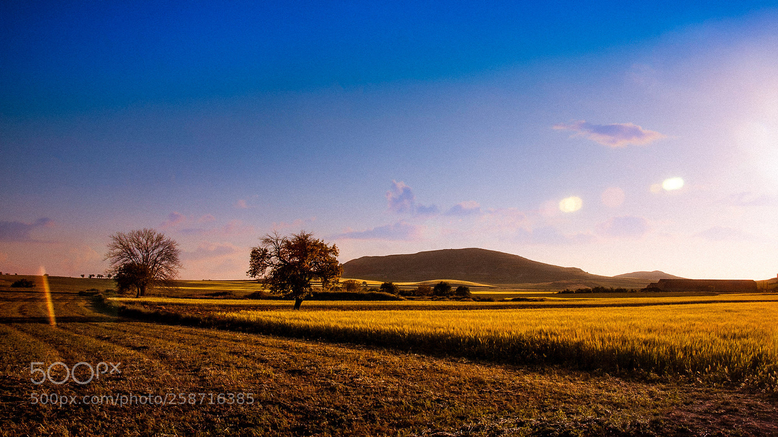 Nikon D70s sample photo. Camino de santiago - 19/40 photography