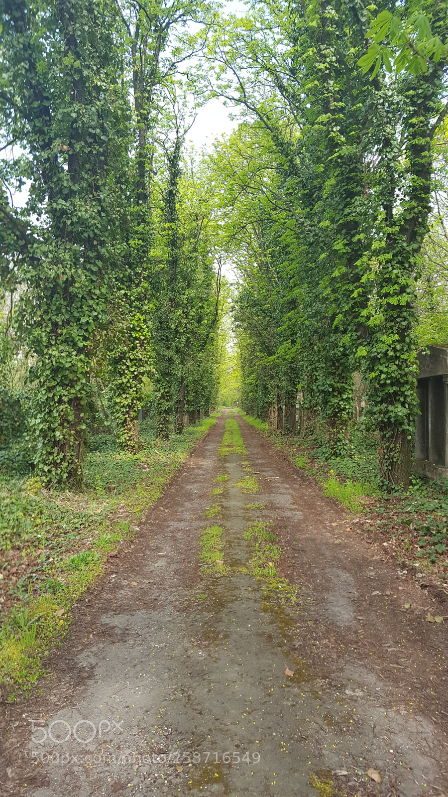Samsung GALAXY S6 edge sample photo. Untitled photography