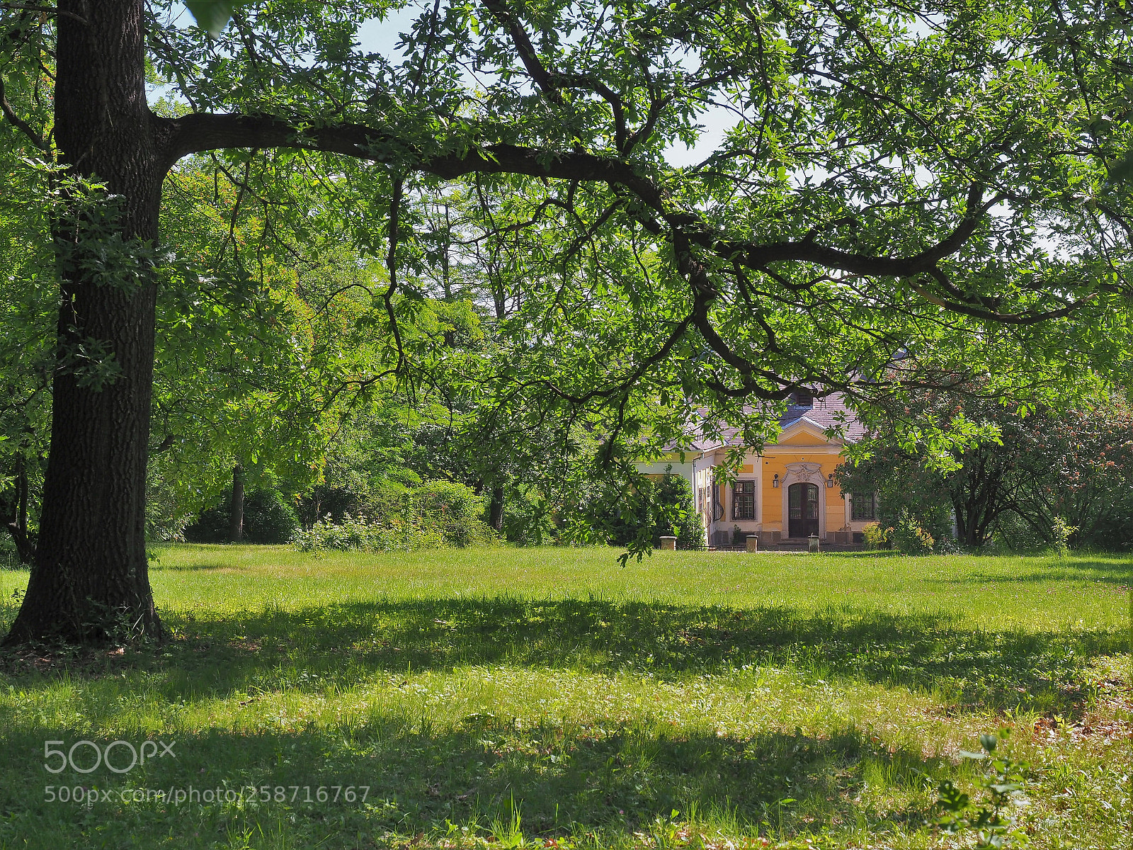 Olympus OM-D E-M1 Mark II sample photo. De la motte castle photography
