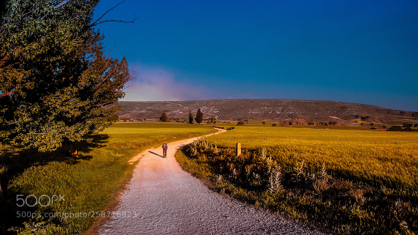Nikon D70s sample photo. Camino de santiago - 20/40 photography