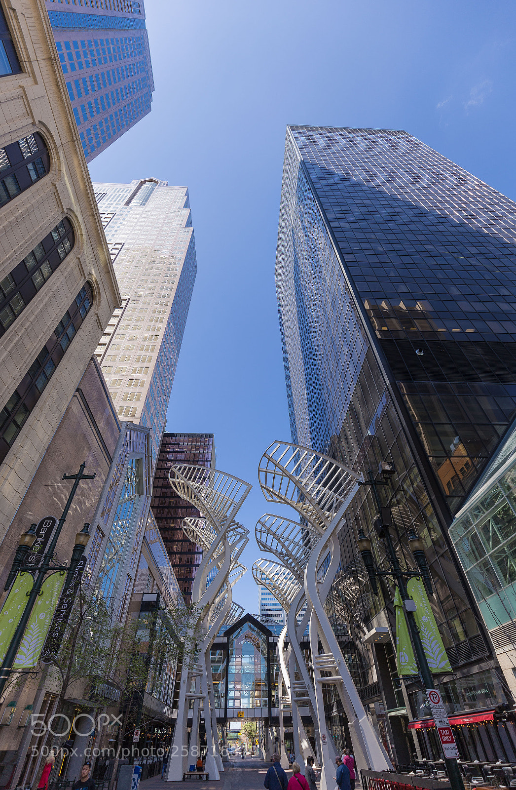 Canon EOS 6D sample photo. Stephen avenue photography