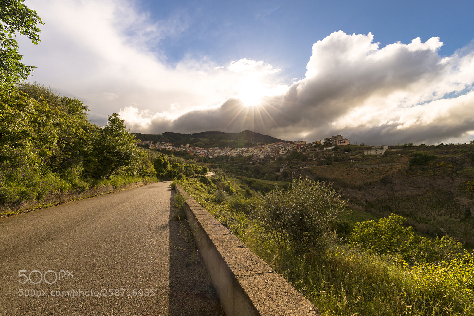 Canon EOS 6D Mark II sample photo. Driving toward sun photography
