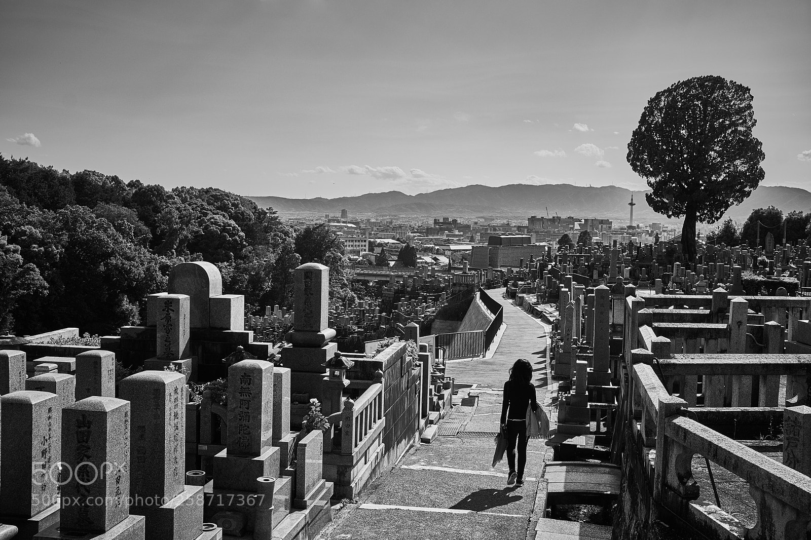 Fujifilm X-T20 sample photo. Untitled photography