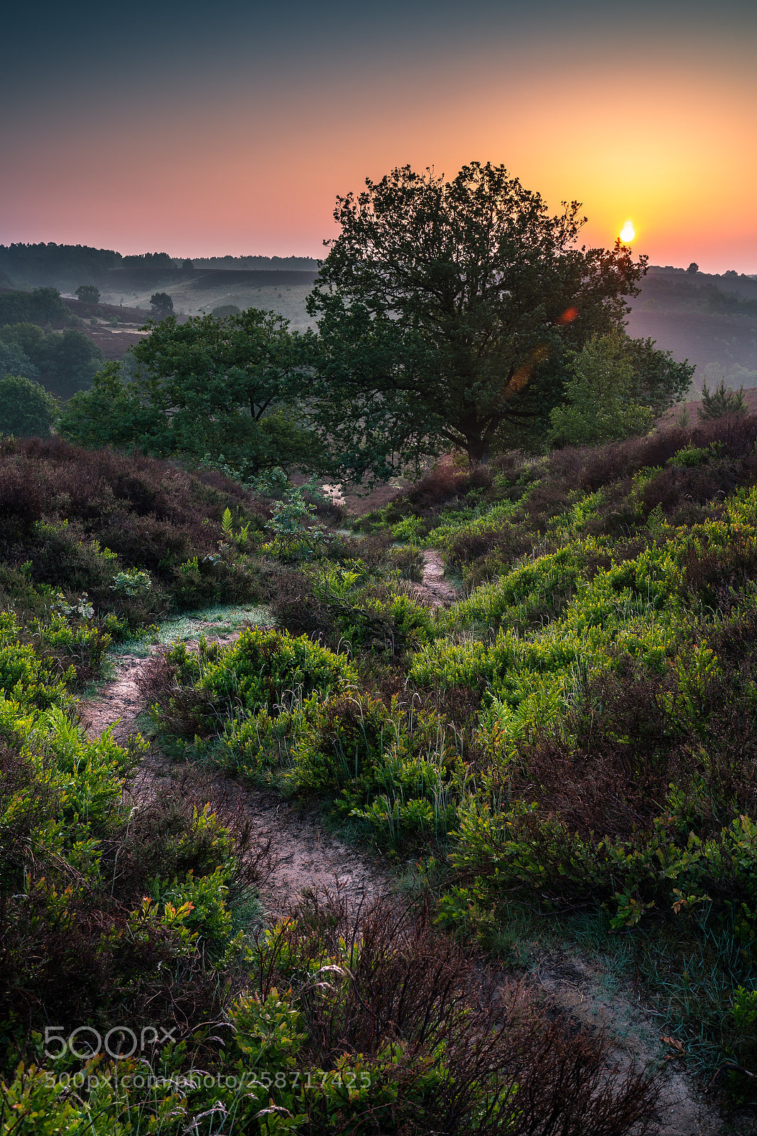 Canon EOS 6D sample photo. Sunrise dutch national park photography