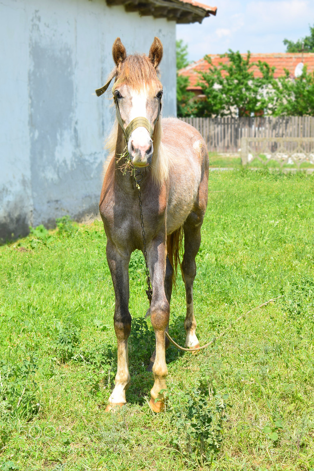 Nikon D5300 sample photo. Dsc photography