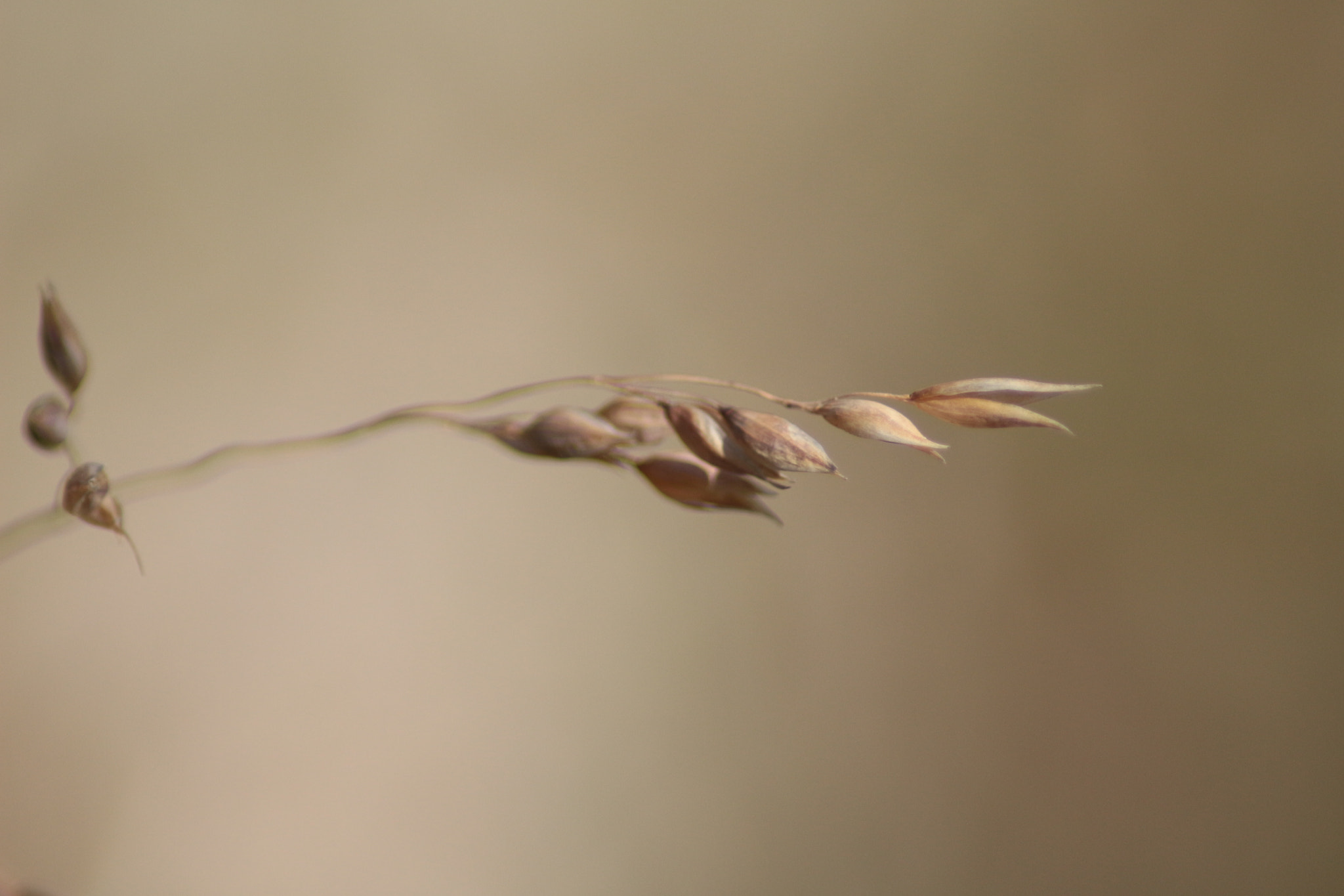 Canon EOS 700D (EOS Rebel T5i / EOS Kiss X7i) sample photo. Windy photography