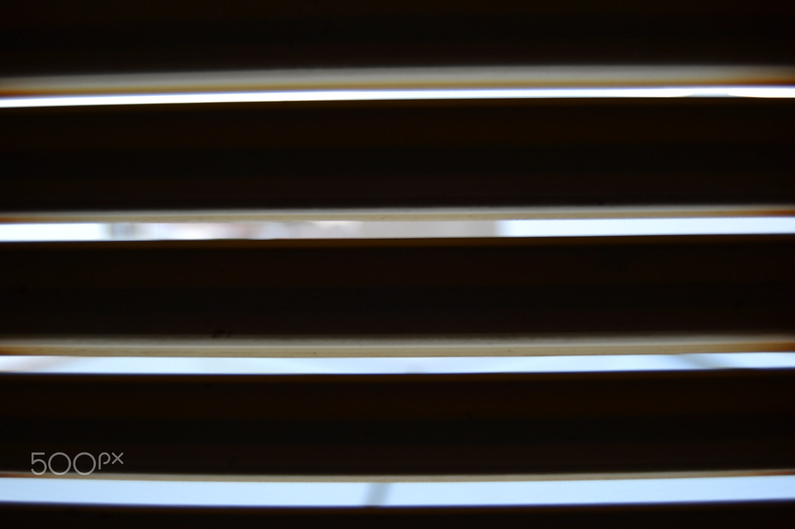 Nikon D3100 sample photo. White blind photography