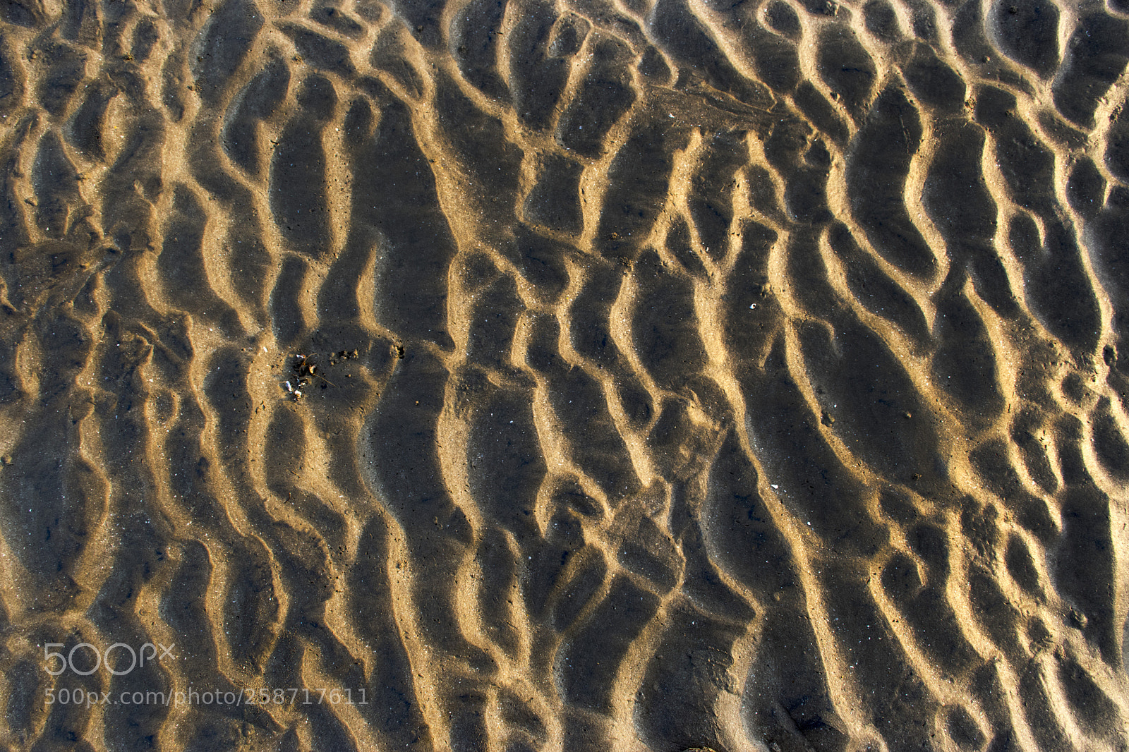 Nikon D5300 sample photo. Sand photography