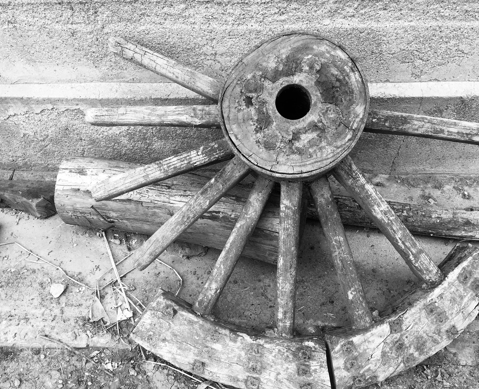 Apple iPhone 6 sample photo. Untitled photography