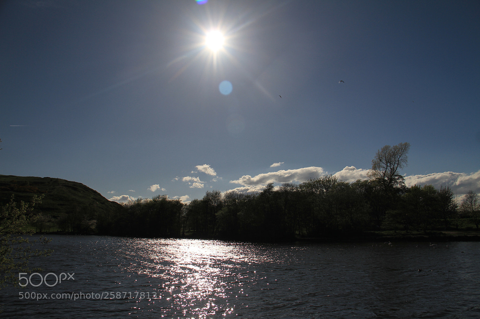 Canon EOS 7D sample photo. ... photography