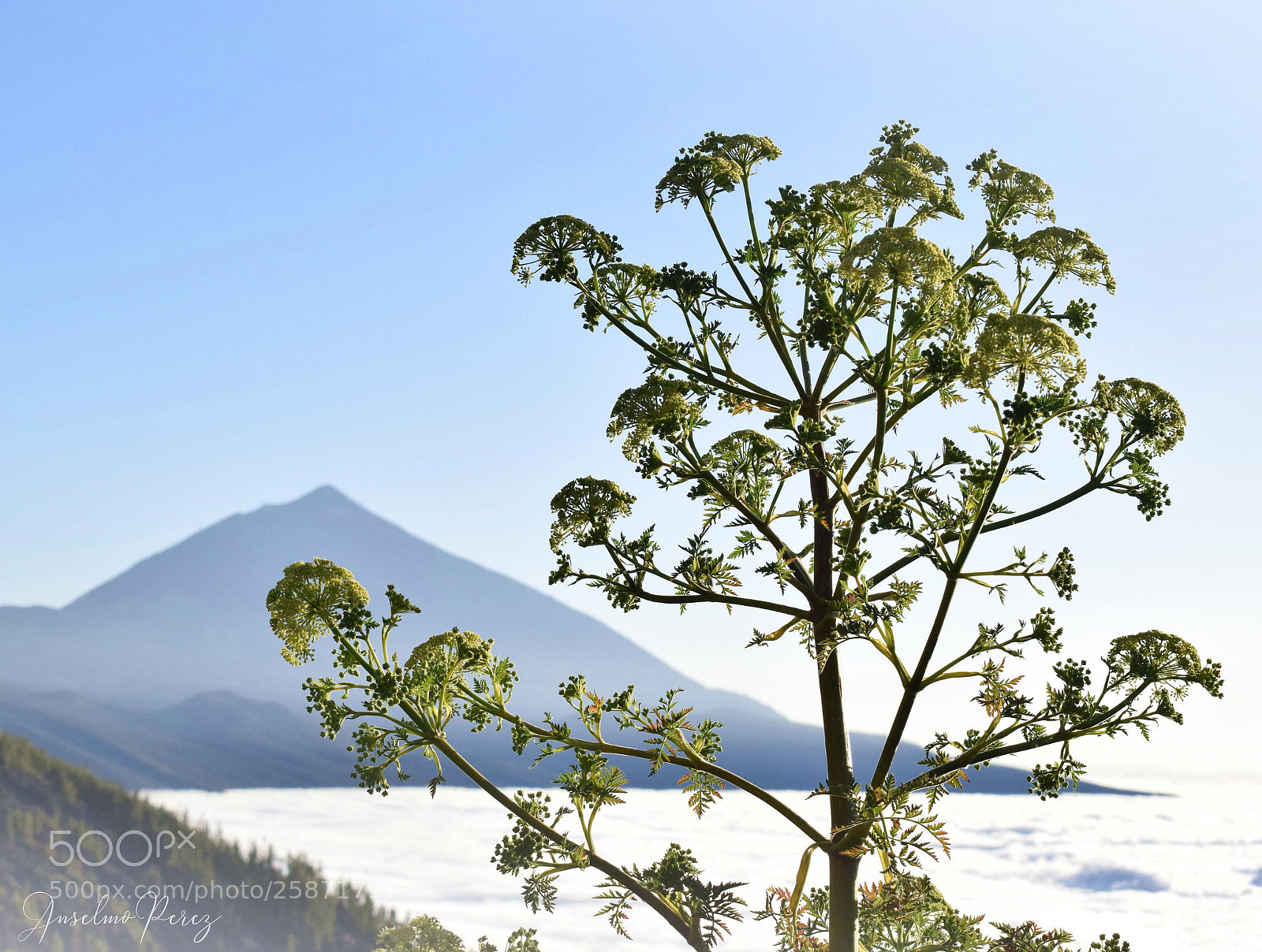 Nikon D5300 sample photo. La tarde de ayer photography