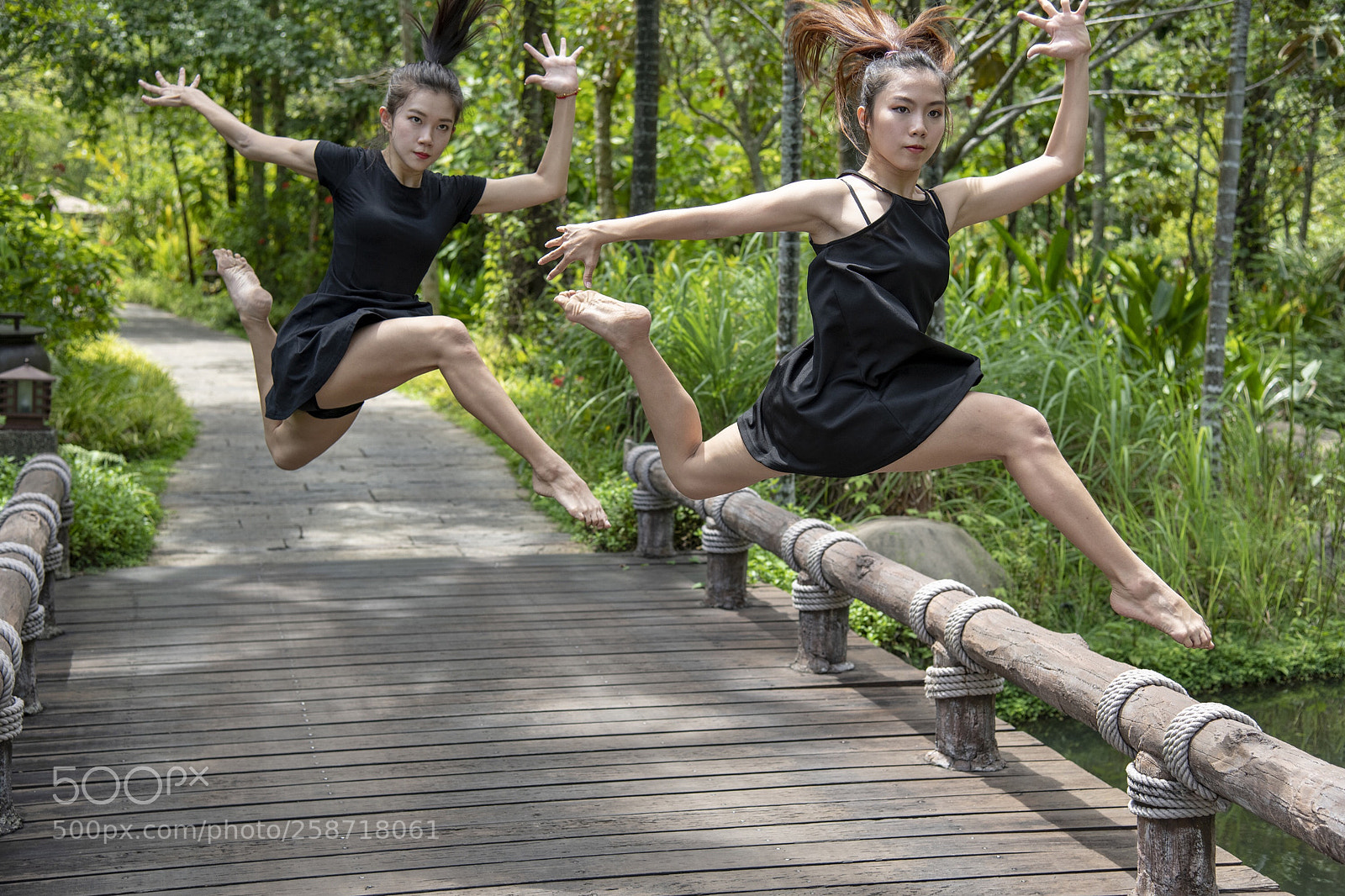Nikon D850 sample photo. Leaping .... photography