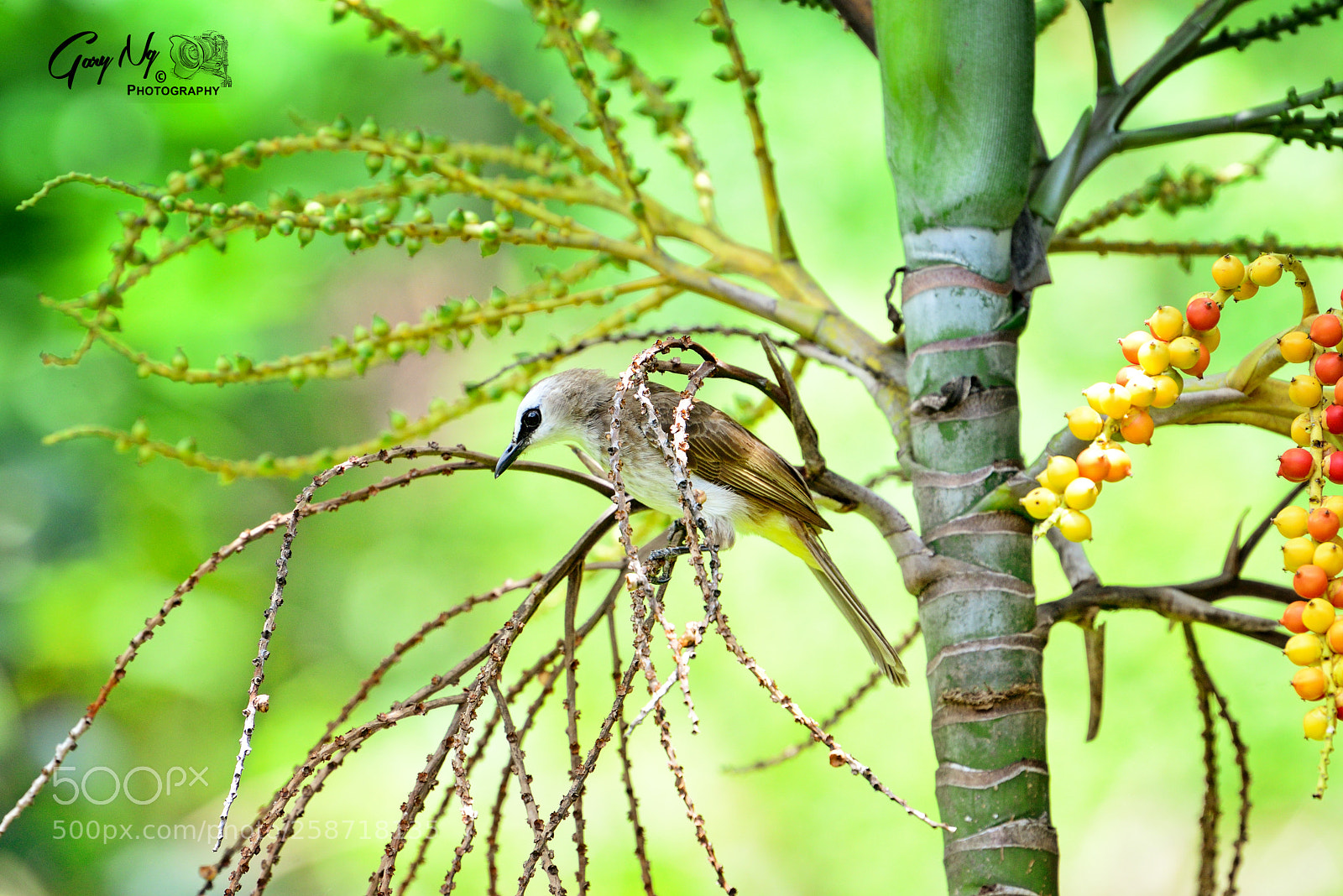 Nikon D610 sample photo. *** photography