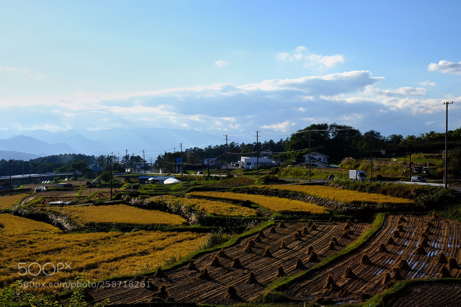 Fujifilm X-T2 sample photo. Nagano field photography