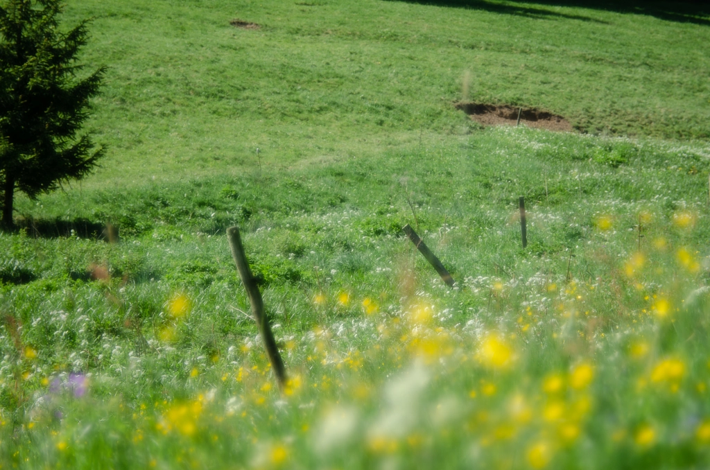 fenz von dirk derbaum auf 500px.com