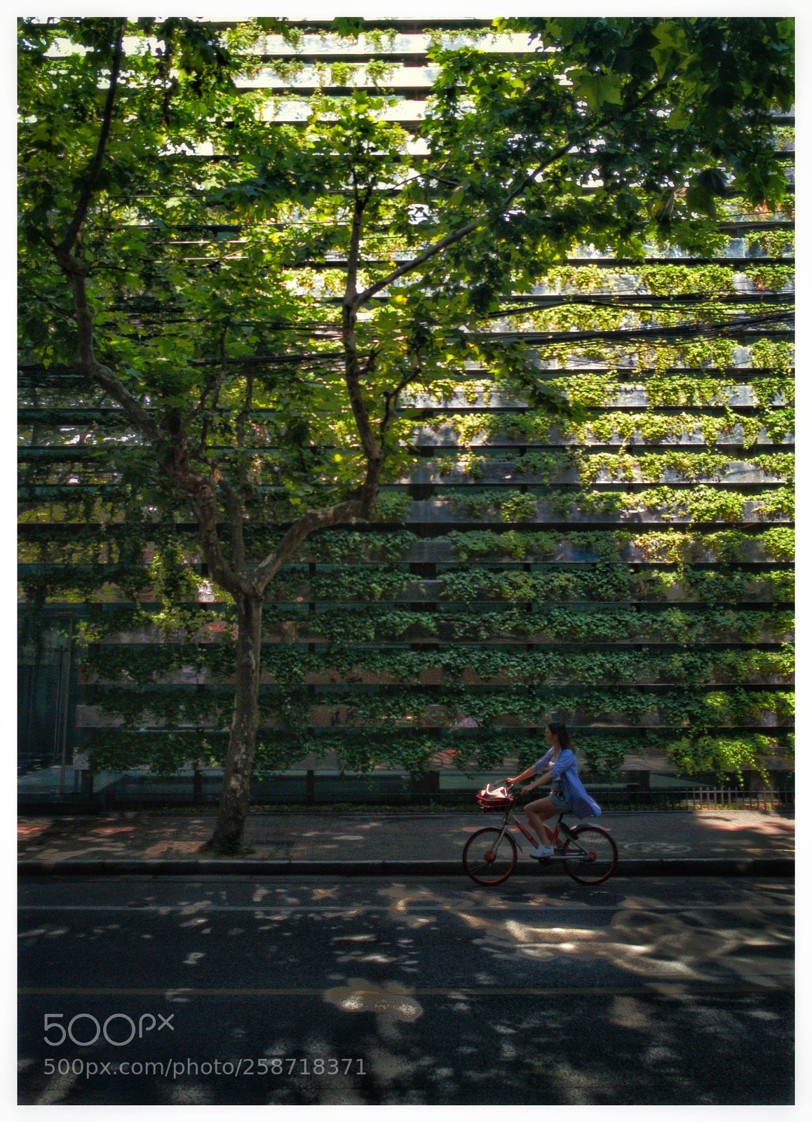 HUAWEI Mate 10 sample photo. Green wall photography