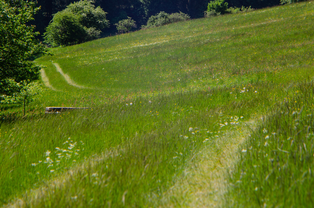 track von dirk derbaum auf 500px.com