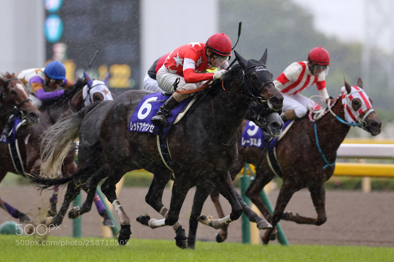 Canon EOS 7D Mark II sample photo. Running in the rain photography