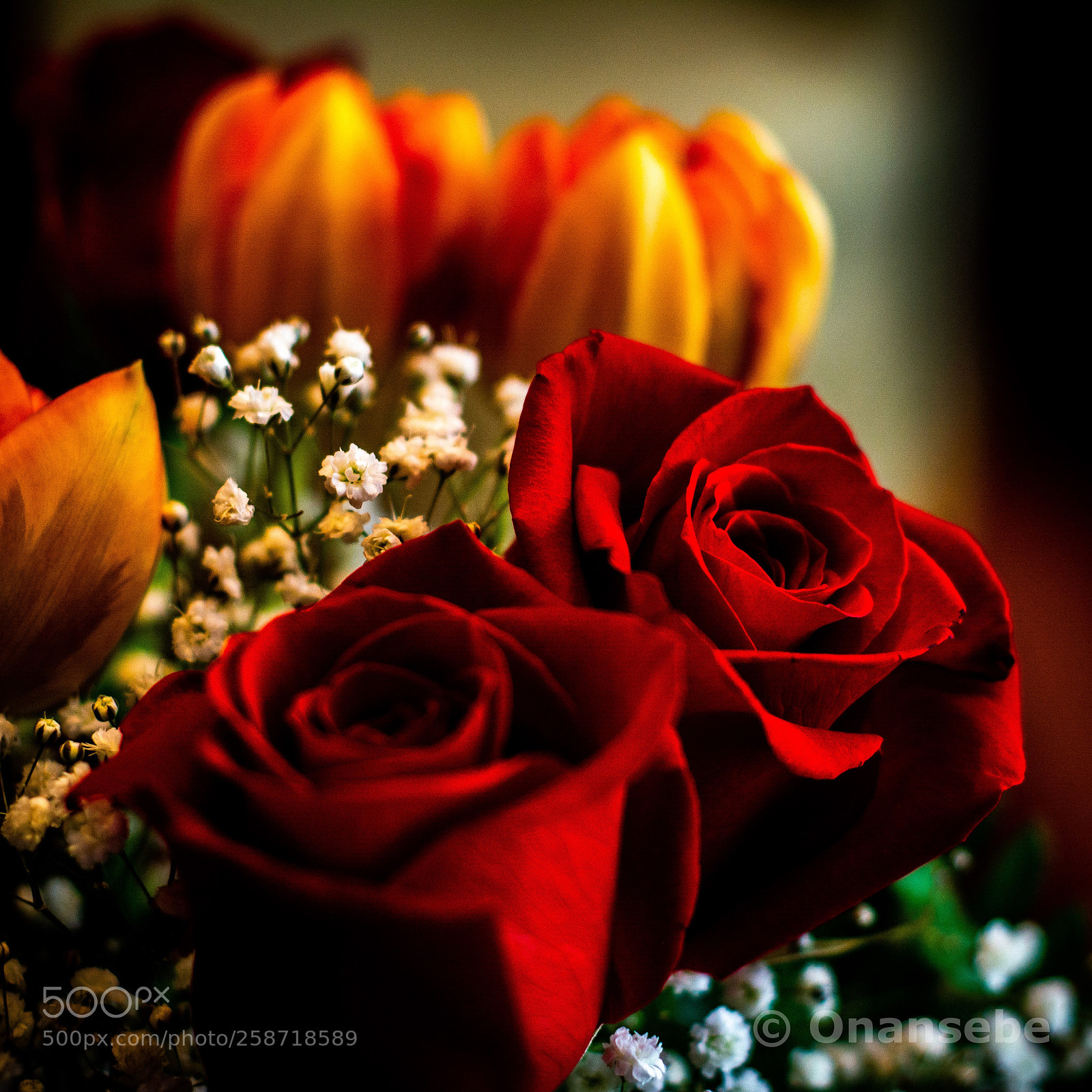 Nikon D5200 sample photo. Rosas rojas photography