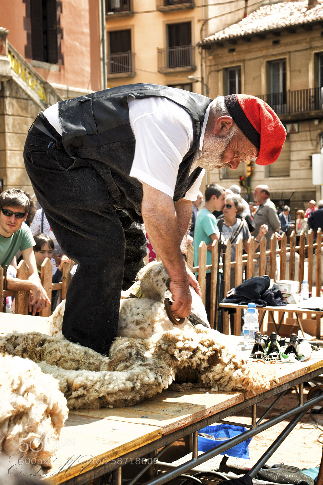 Canon EOS 7D Mark II sample photo. Esquilando oveja(shearing sheep) photography