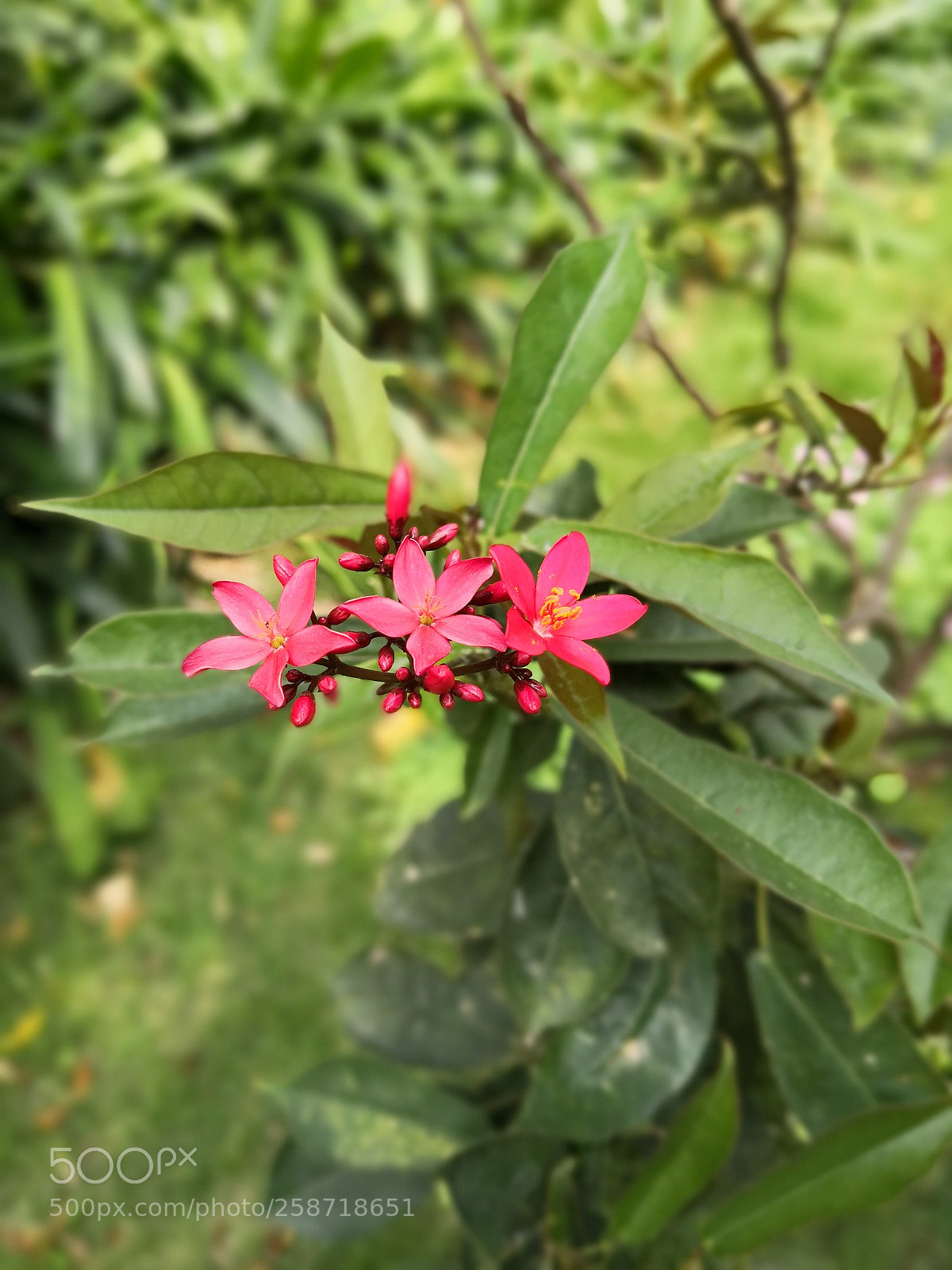 HUAWEI Mate 10 Pro sample photo. Untitled photography