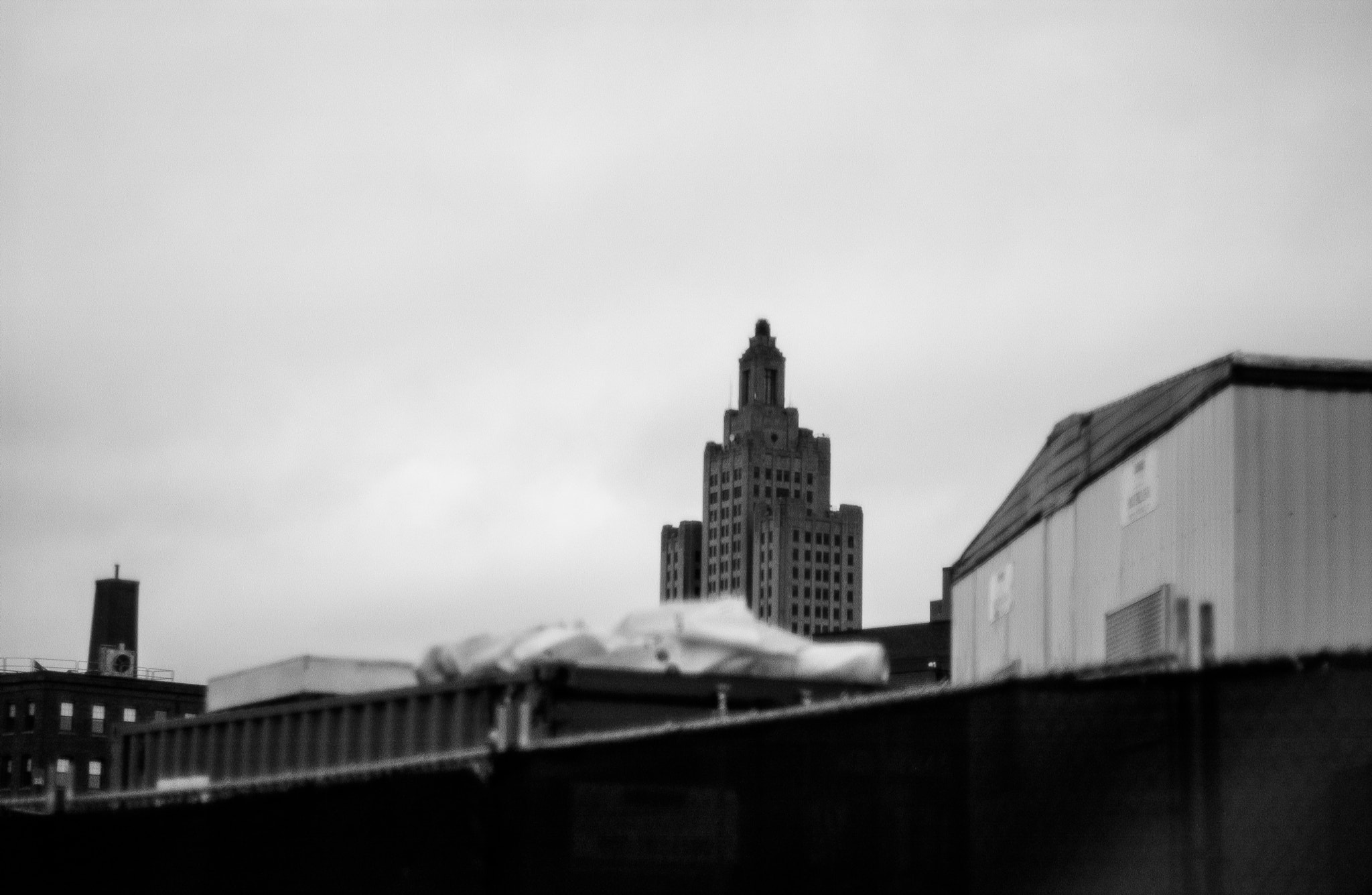 Nikon D1X sample photo. It's good to be king photography