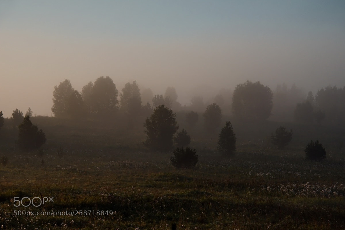 Nikon D750 sample photo. Russia. the south of photography