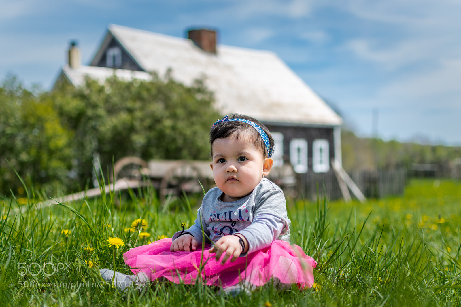 Nikon D5300 sample photo. Anaya at ross farm photography