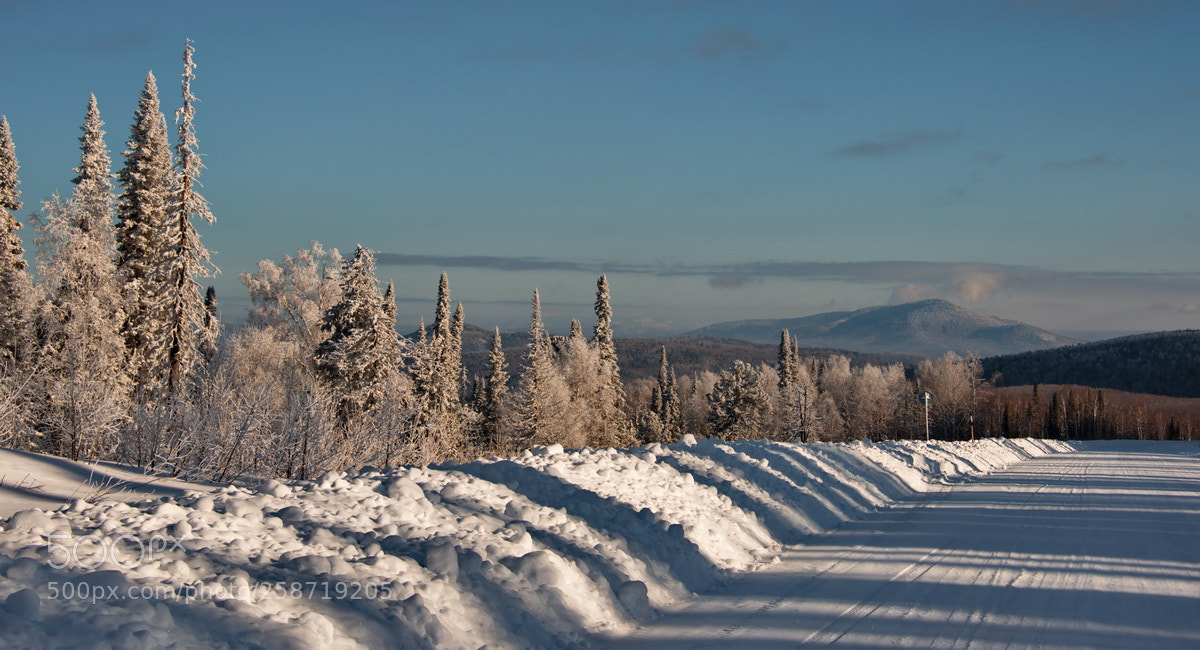 Nikon D750 sample photo. Russia. the south of photography