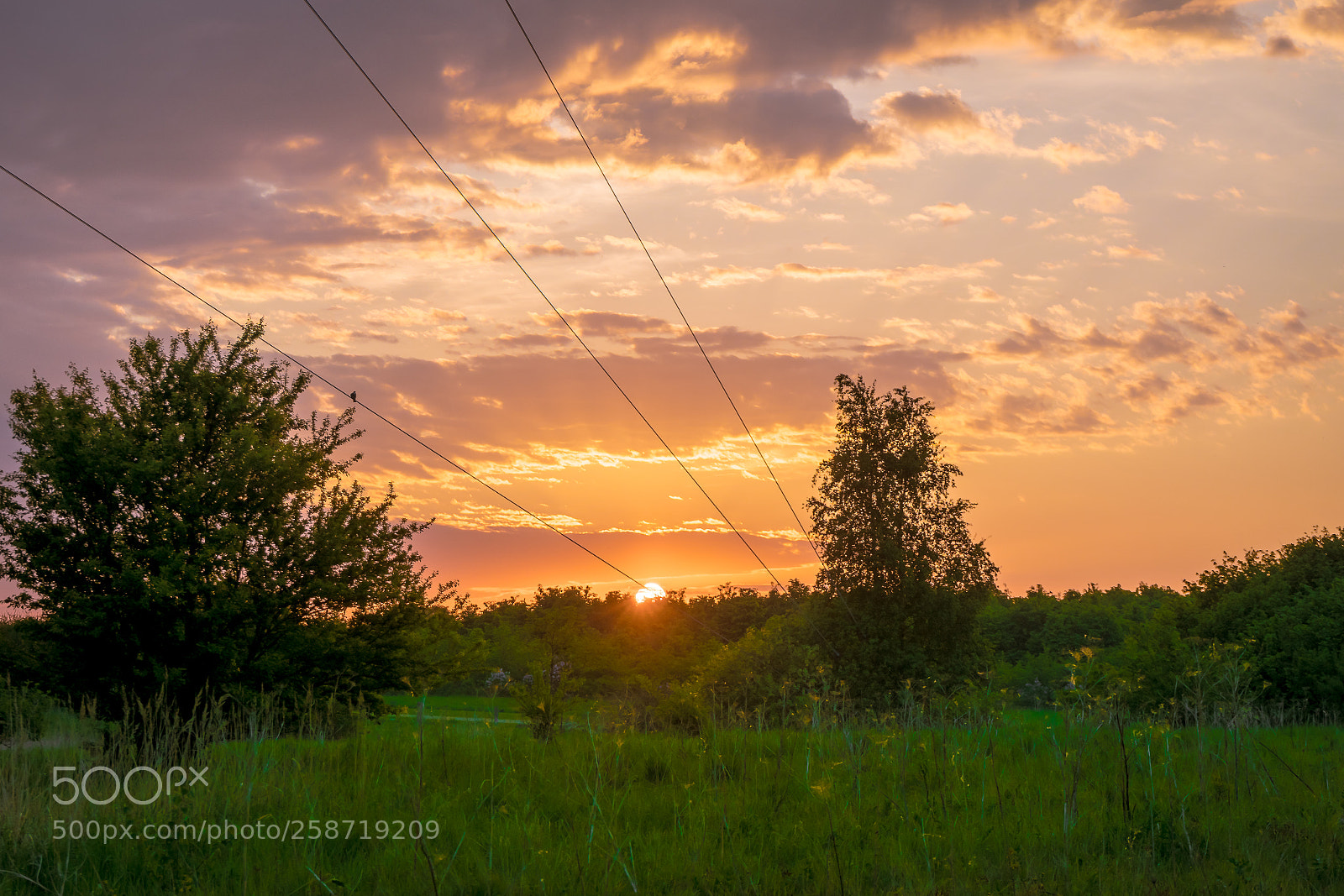 Sony a7 III sample photo. Skagerakvej in holbæk photography