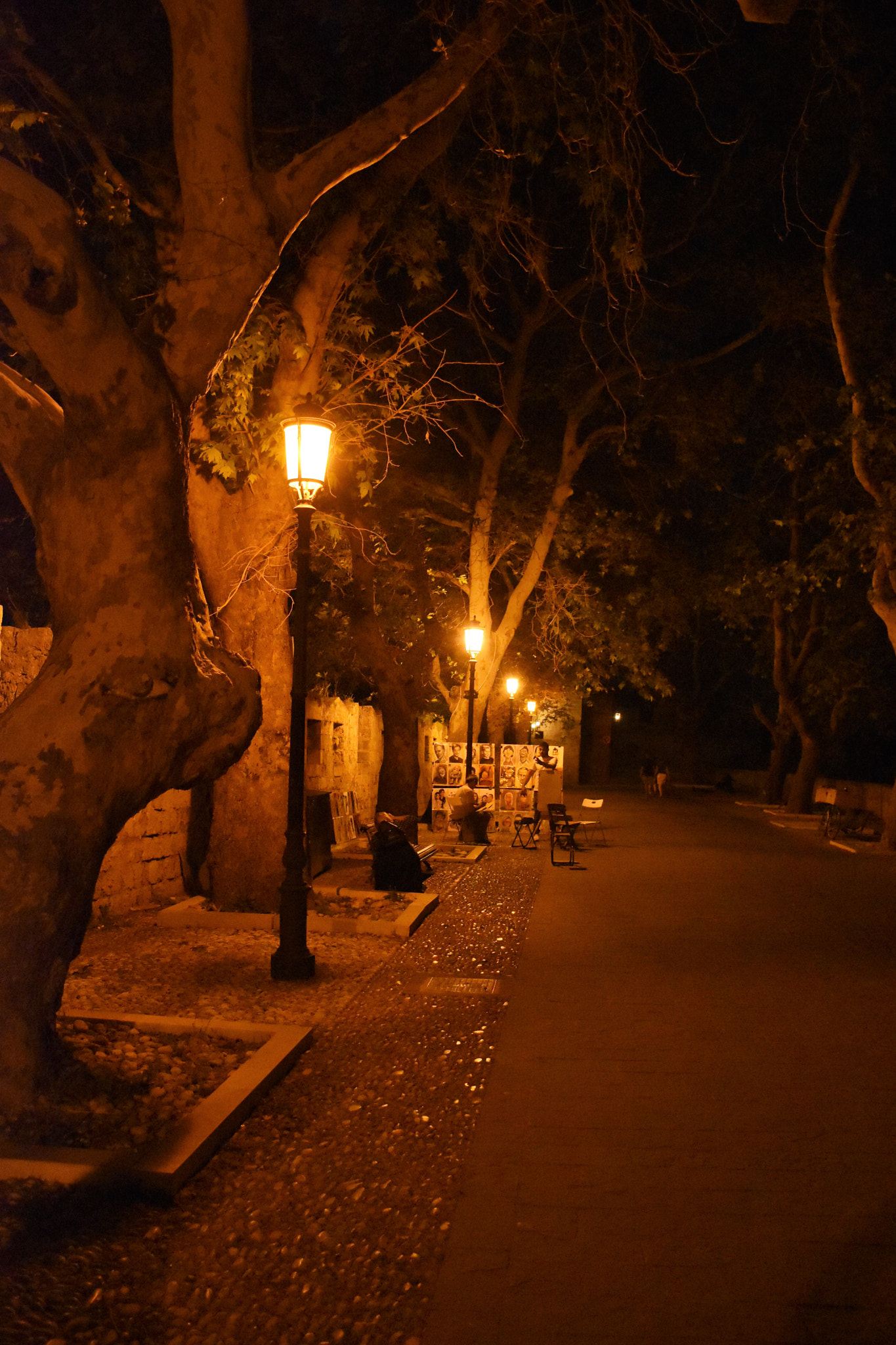 Nikon D5600 sample photo