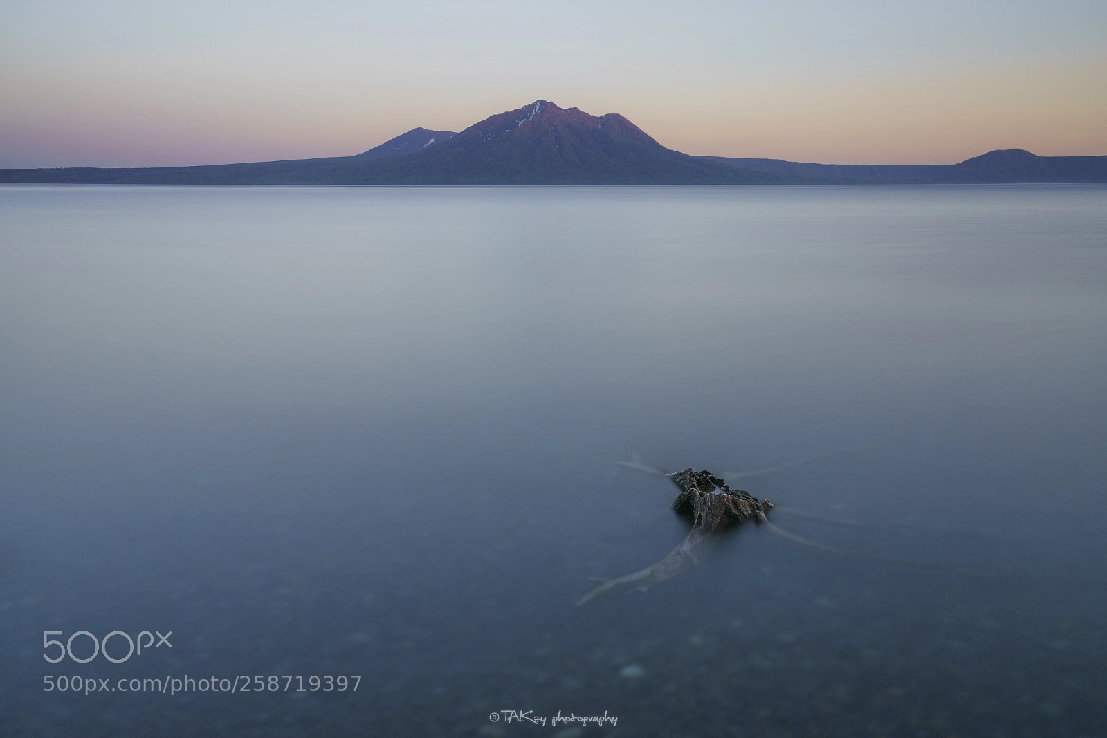 Sony a7R II sample photo. Sorrow stubble photography