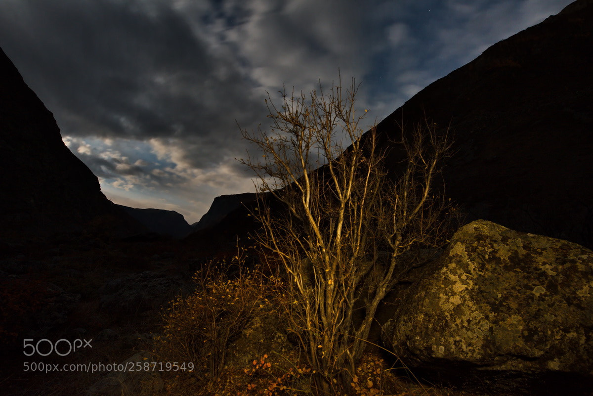 Nikon D750 sample photo. Russia. moonlight night in photography
