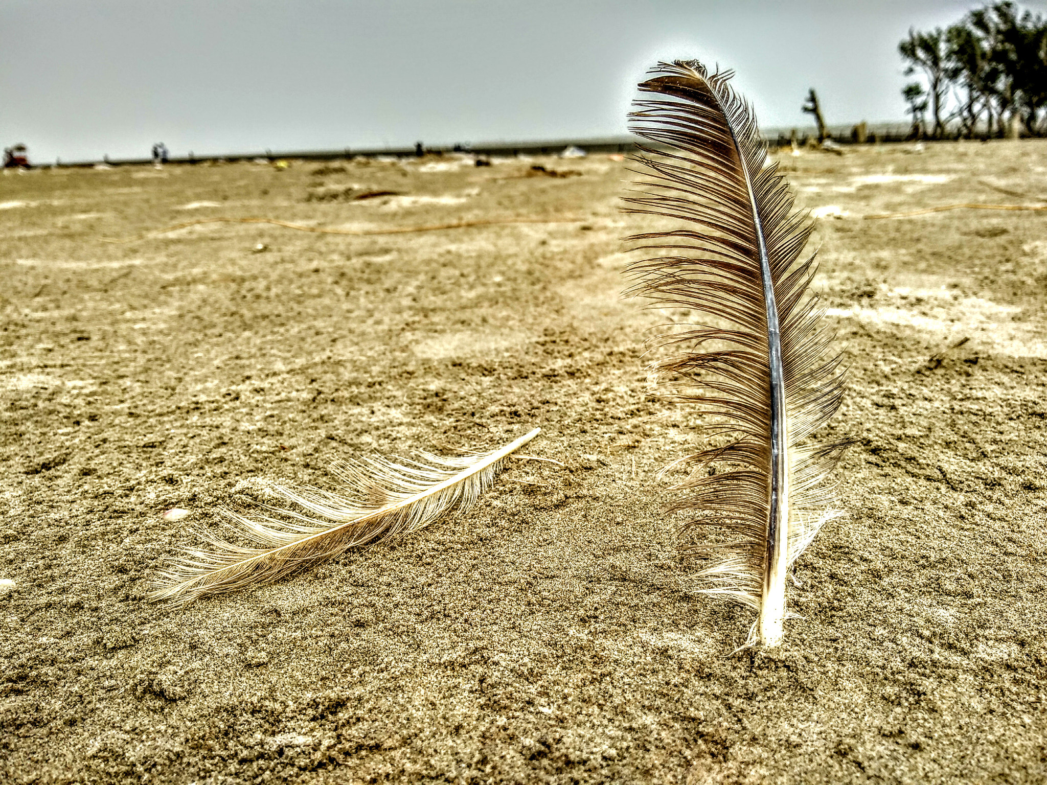 Motorola Moto G (5S) Plus sample photo