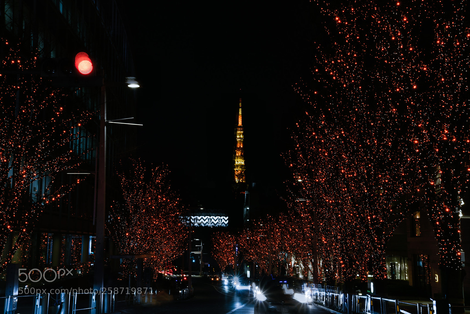 Nikon D750 sample photo. Tokyo tower 2 photography