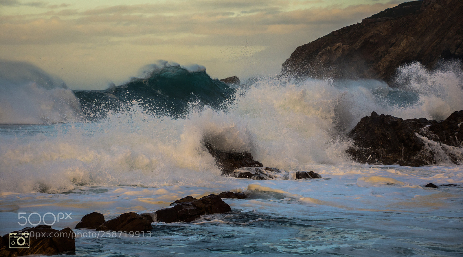 Nikon D7200 sample photo. Morning run photography