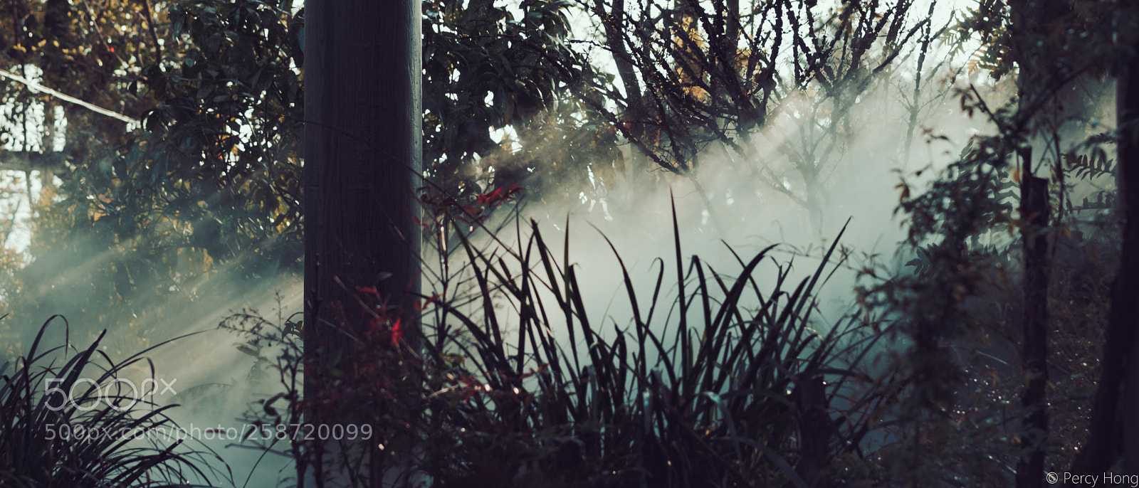 Sony a6000 sample photo. Tyndall photography