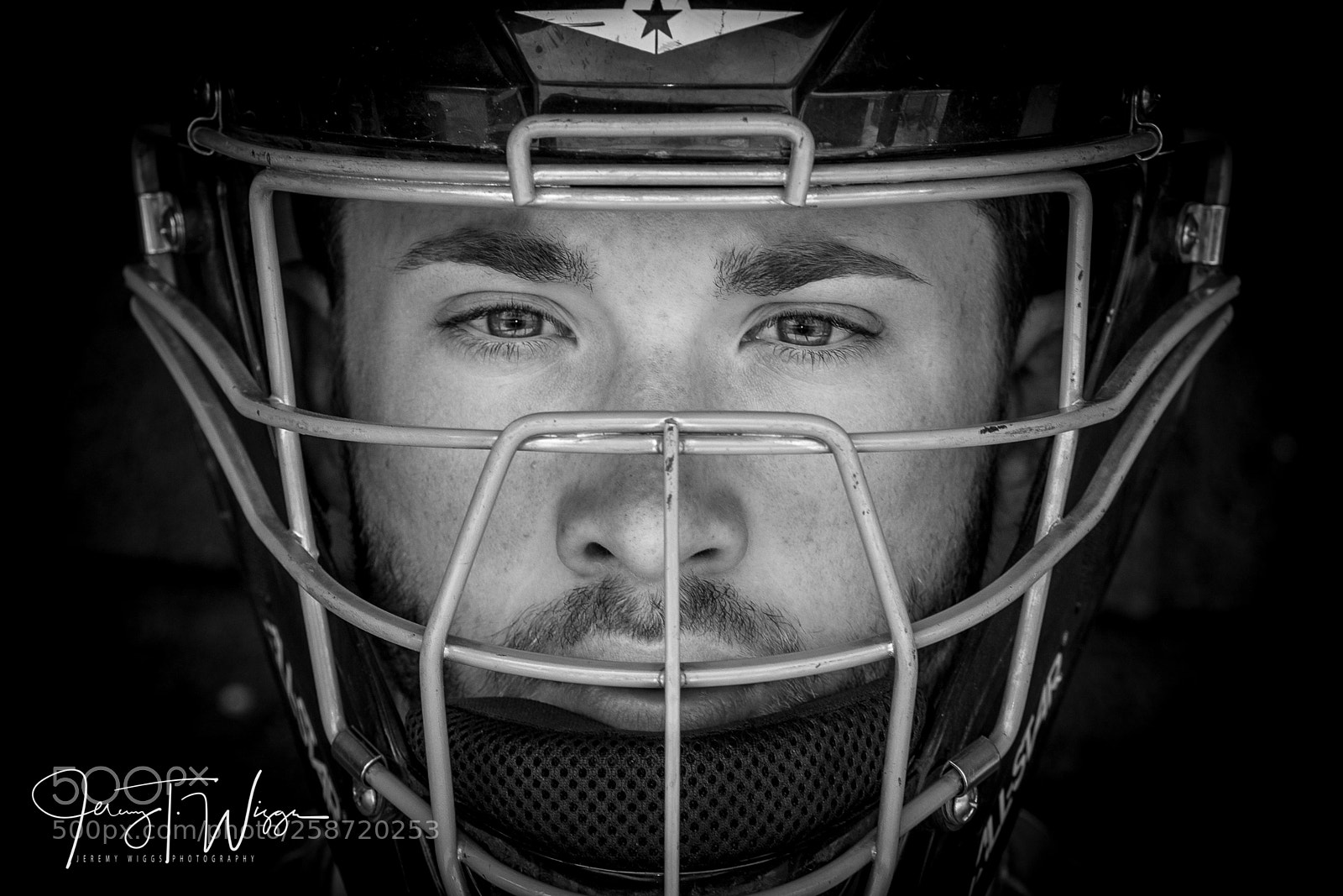 Nikon D500 sample photo. The catcher photography