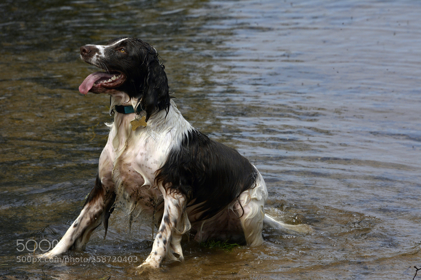 Nikon D7100 sample photo. Time to play photography