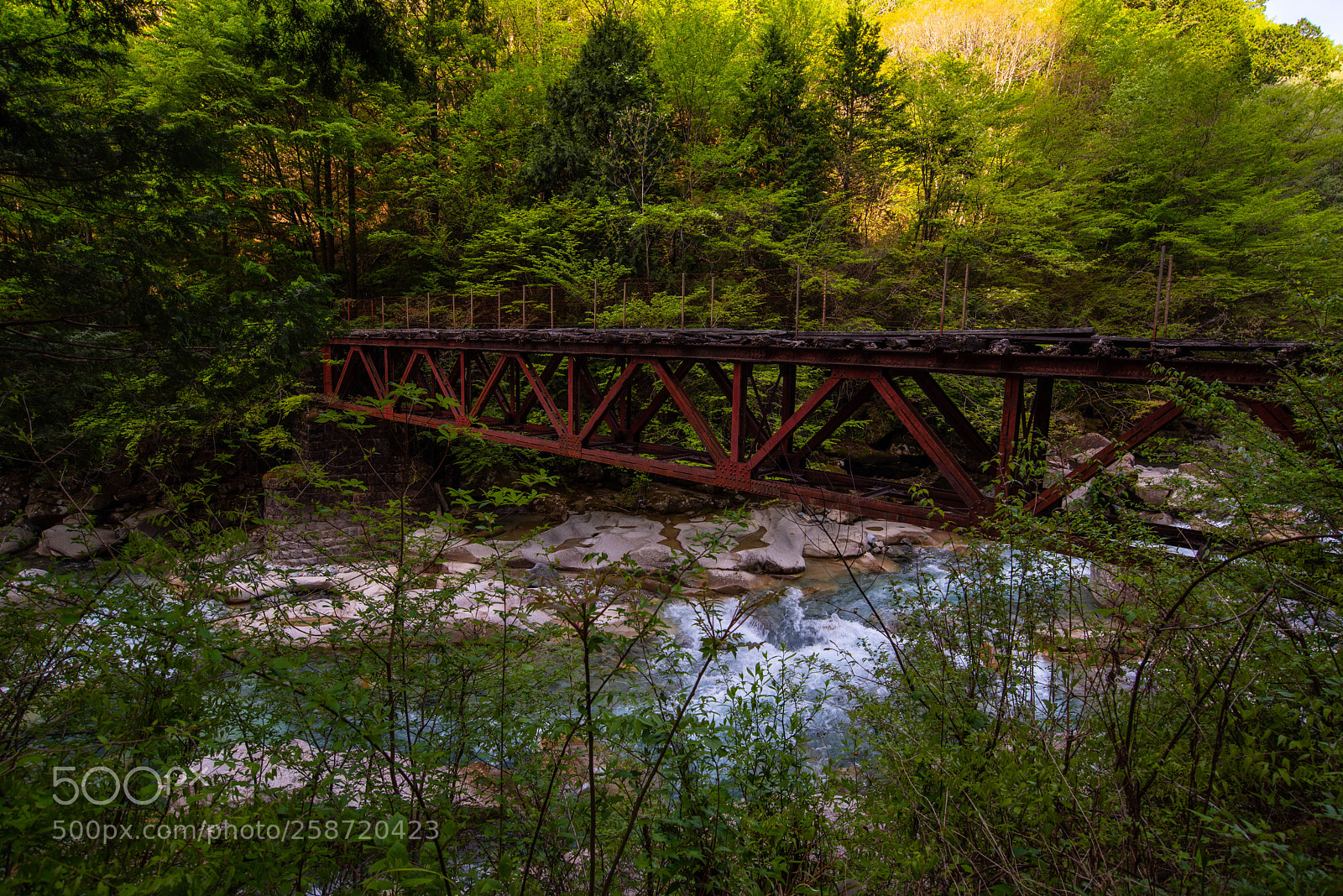 Nikon D810 sample photo. Old bridge photography