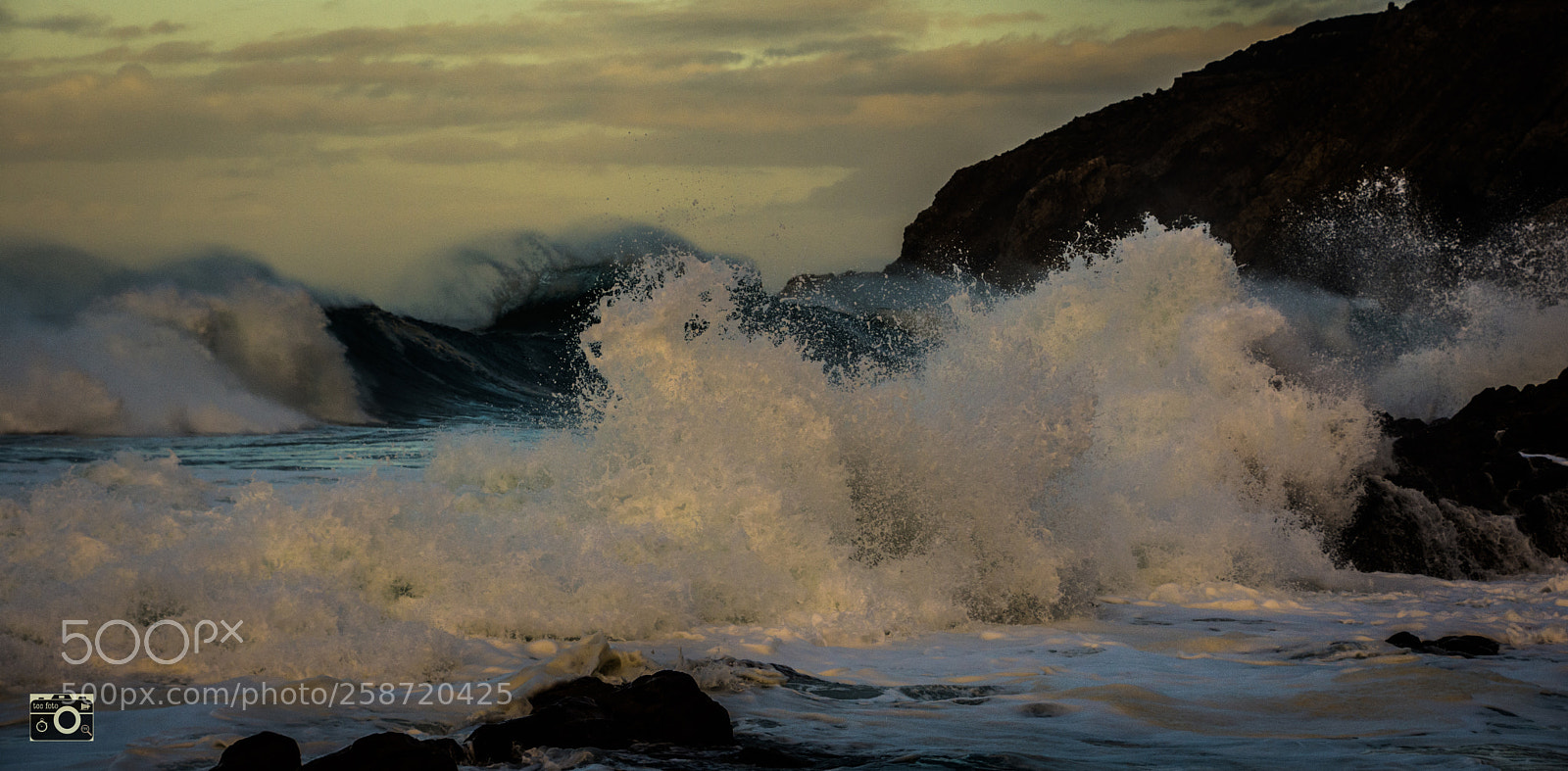 Nikon D7200 sample photo. Incoming photography