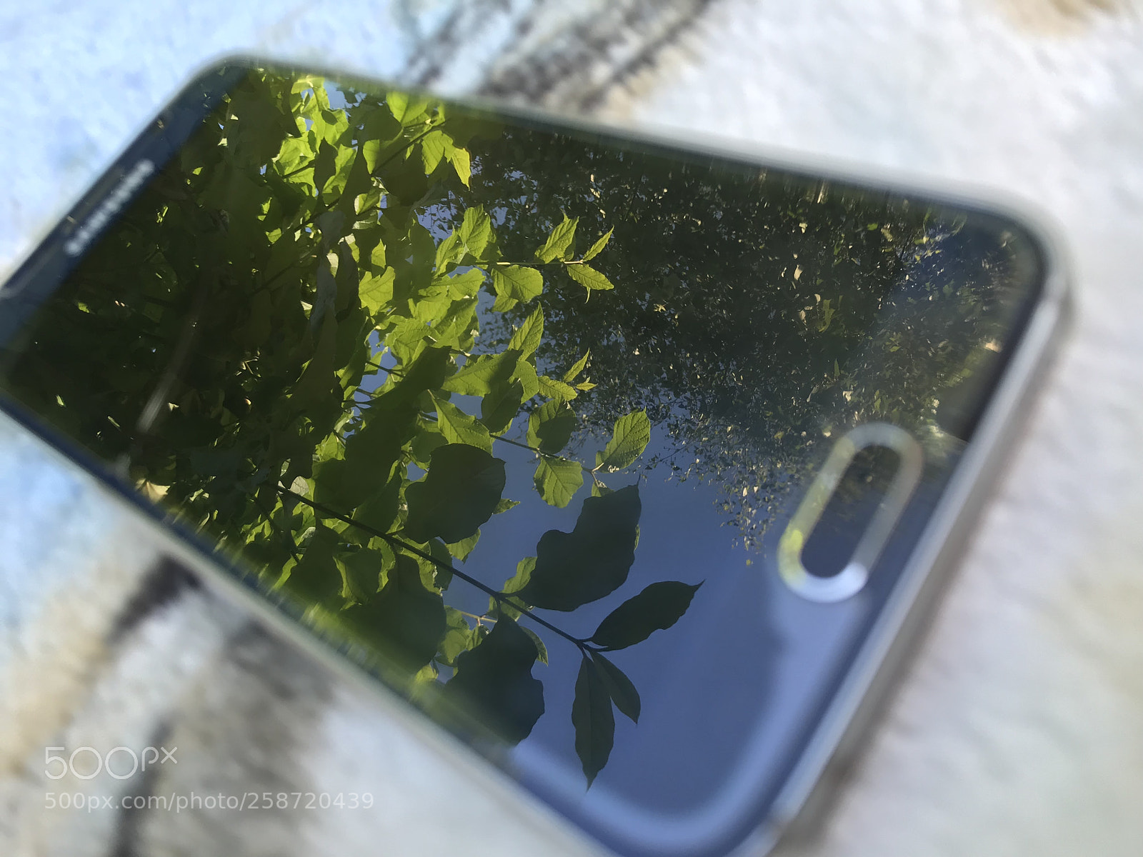 Apple iPhone 7 sample photo. Untitled photography